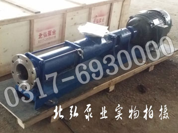 G85-1不锈钢单螺杆泵
