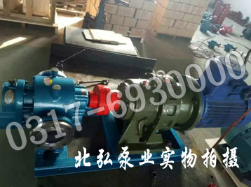 LC38全保温罗茨泵
